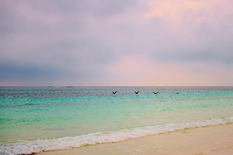 Casa Chable Hotel Punta Allen